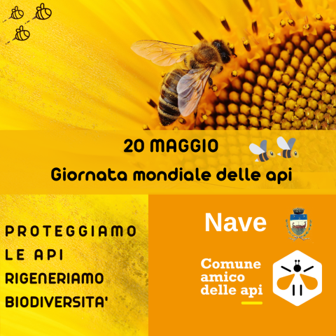 20 maggio 2024: Giornata mondiale delle api